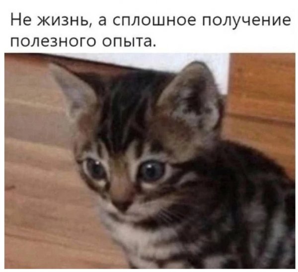 Жизнь )