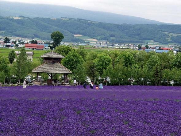 cd50c85fa8d20c1b30d112ed1a2 prev