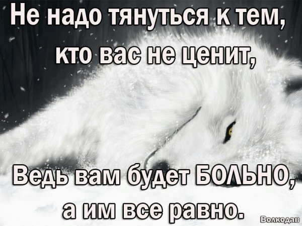 IMG-20211127-WA0038