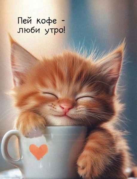 F3b79be7176083218e6751f9964ecf88