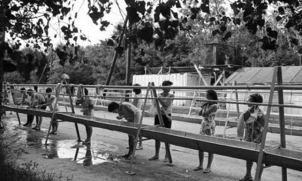 Утро в Пионерском лагере