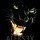 dirty jack twin chicks176х220