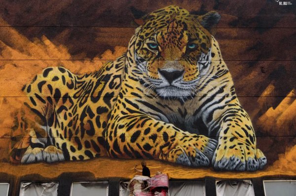 граффити леопард