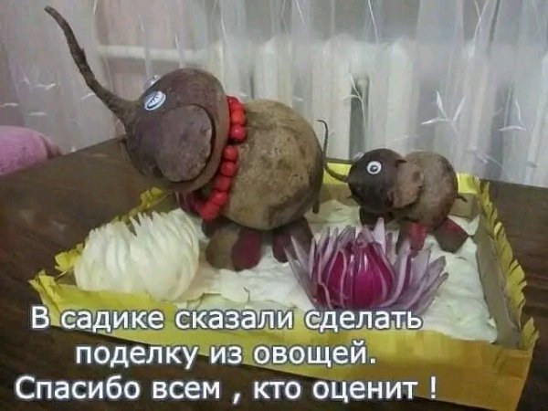 FB IMG 17049590823532138