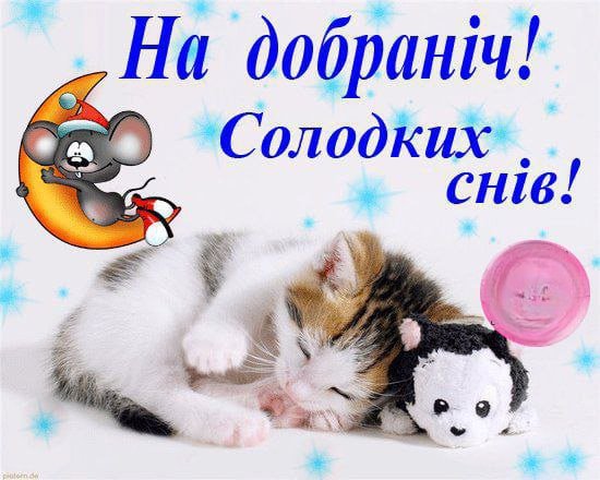 Солодких снів