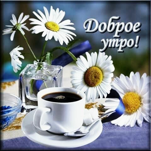 доброе утро 101751