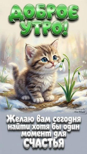 07d1d777d691d5f642047139f638489d