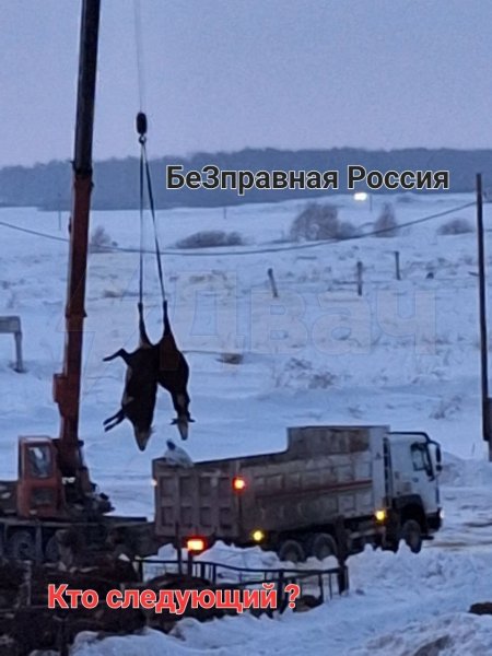 Photo 2026-03-27 01-21-17