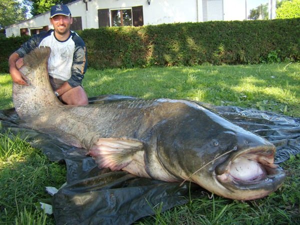 rhone-wallerekord09