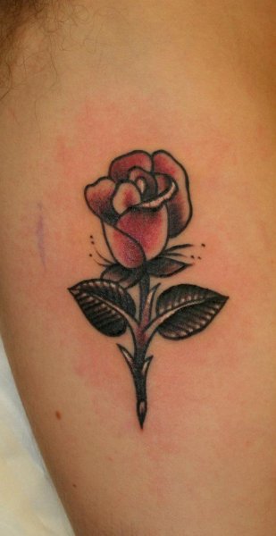 Tattoo (4420)