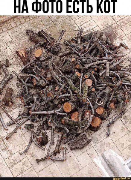 86c91292eeb6bc8250540abf9b84b52a