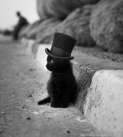 Nastojaschij dentelmen