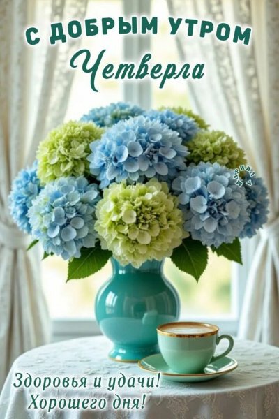 Друзья мои!