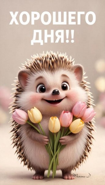 Efc224206c2d8c4b48168889d10f6e40