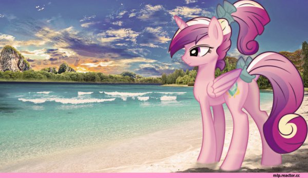 Princess-Cadence-royal-my-little-pony-фэндомы-1337429