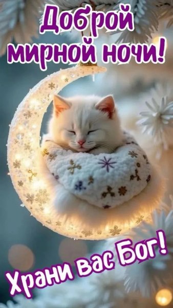 IMG 20260324 220313 311