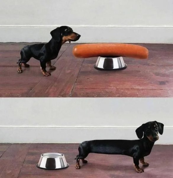 Smeshno-i-ne-ochen-11