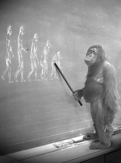 Dd675d9d9f3efcb35f264b19b9290eed