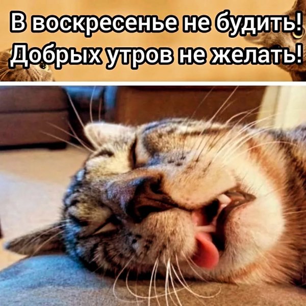 Madam plus 8bcbbebffffd4b0c99a5021ec007b7df