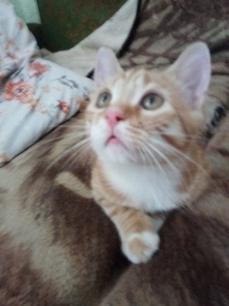 IMG 20240727 114007 2