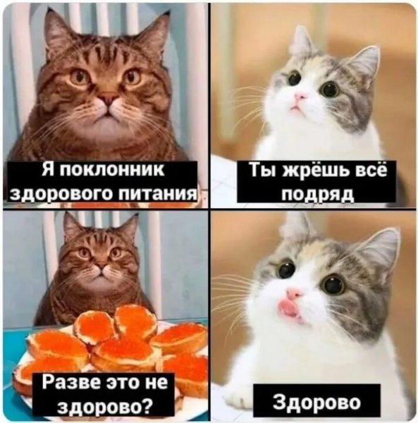 Здорово