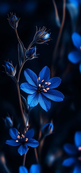 Арт Природа