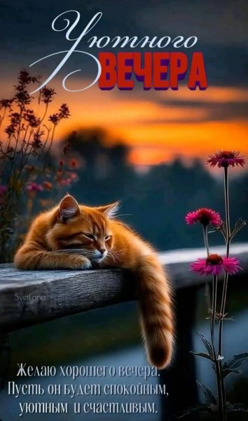 IMG 20260406 222058 460