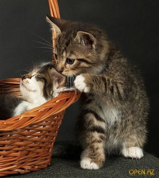 IMG 20171015 223546 11