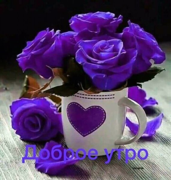 FB IMG 15296488021193713