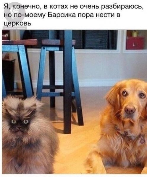 B08jRH60UsDahwnVgMQoUdyePeUtKfrB0O DOZnzMEirKJ5-Z7019WX