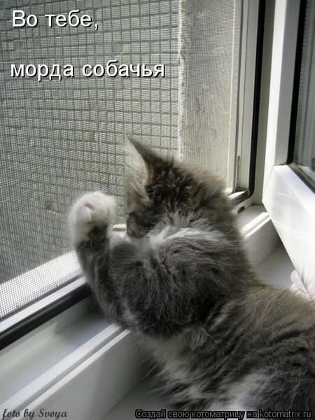 image (1)