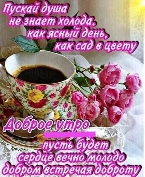 Доброе Утро Друзья!