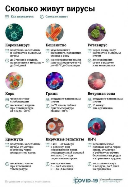 Вирусы жизнь