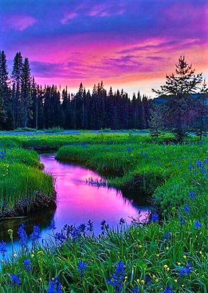 FB IMG 15235404810479497