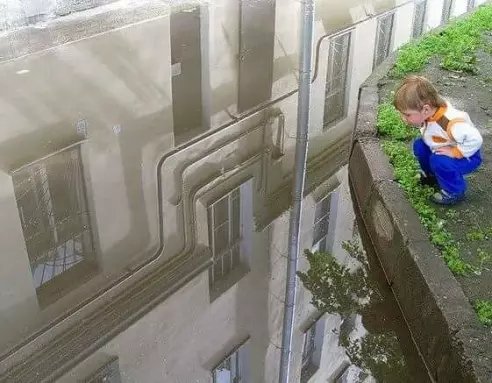 Интересное фото