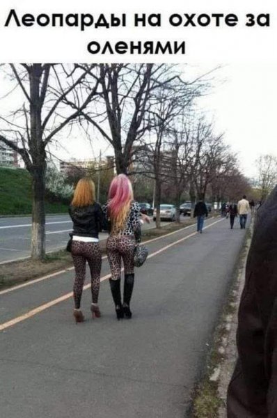 e514c109e7aece787c110b8a3cf99070