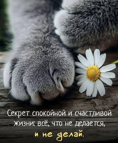 picture_389153330