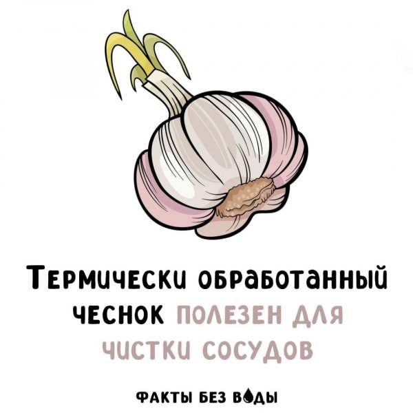 IMG 20251114 164846 122