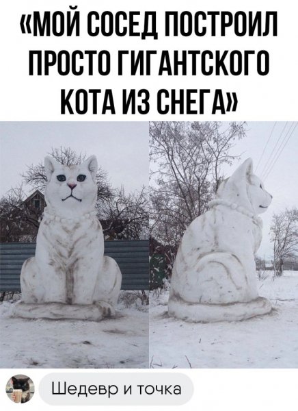 Podborka-prikolnyh-kartinok-i-zabavnyh-kommentariev-20