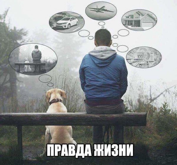 жизнь