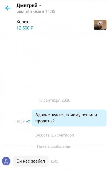 авито-объявление-переписка-песочница-6918656