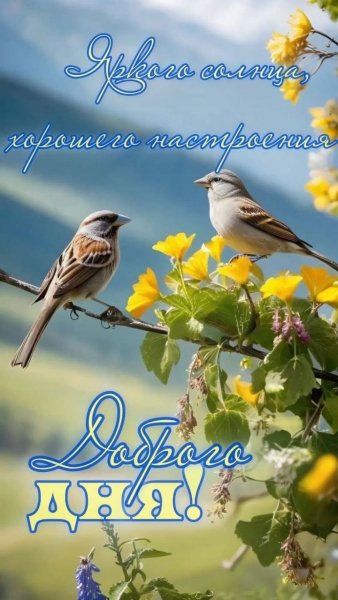 IMG 20260331 233636 447