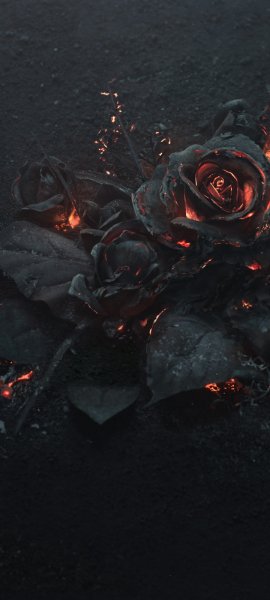 Android Wallpaper (323)