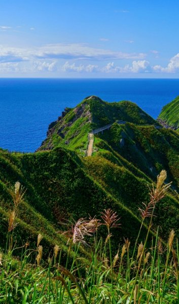 Screenshot 20260306-121954 One UI Home