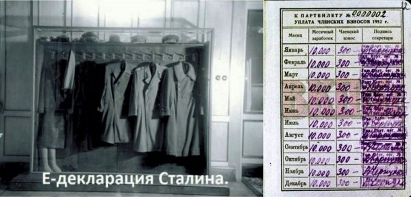 picture_380807654