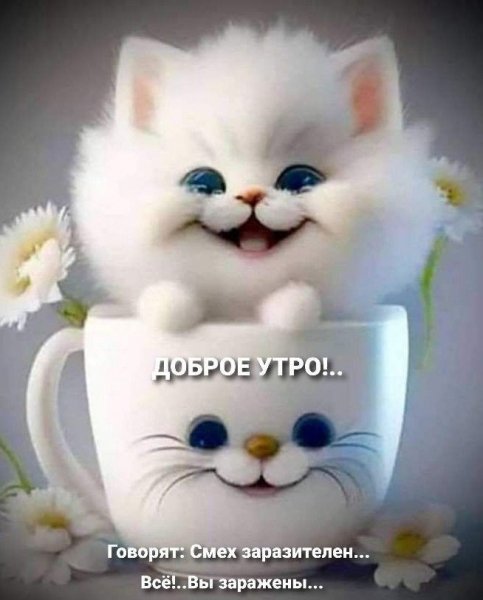 Всем Доброе Утро!