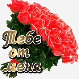розы
