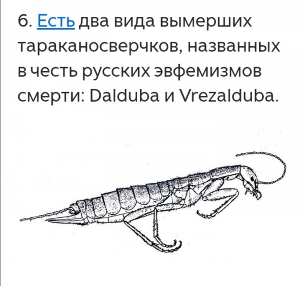 Screenshot 20251125 201703