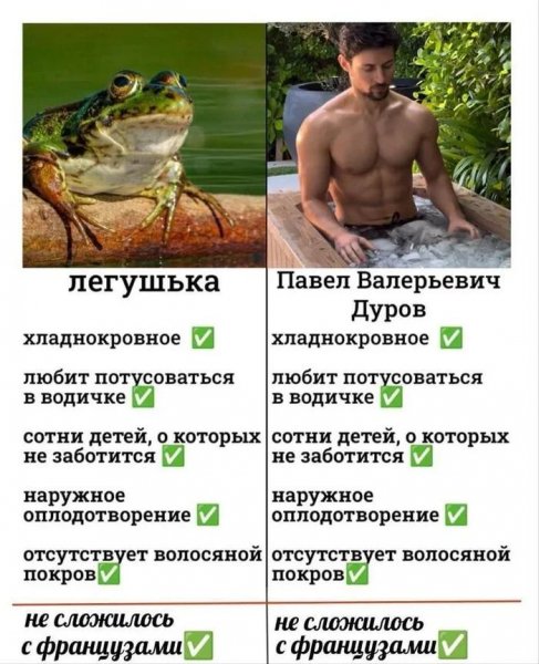 Zyzcom4a