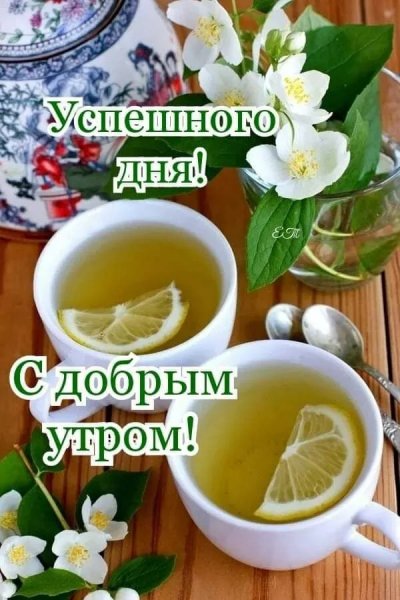 Друзья мои!
